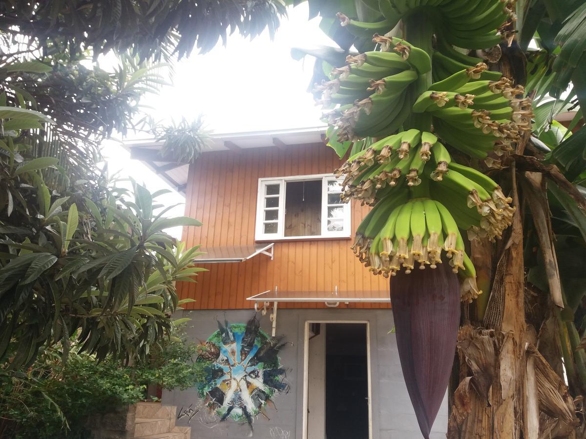 Hostel Casa Terra Florianópolis Exteriör bild